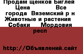 Продам щенков Биглей › Цена ­ 15 000 - Все города, Вяземский р-н Животные и растения » Собаки   . Мордовия респ.